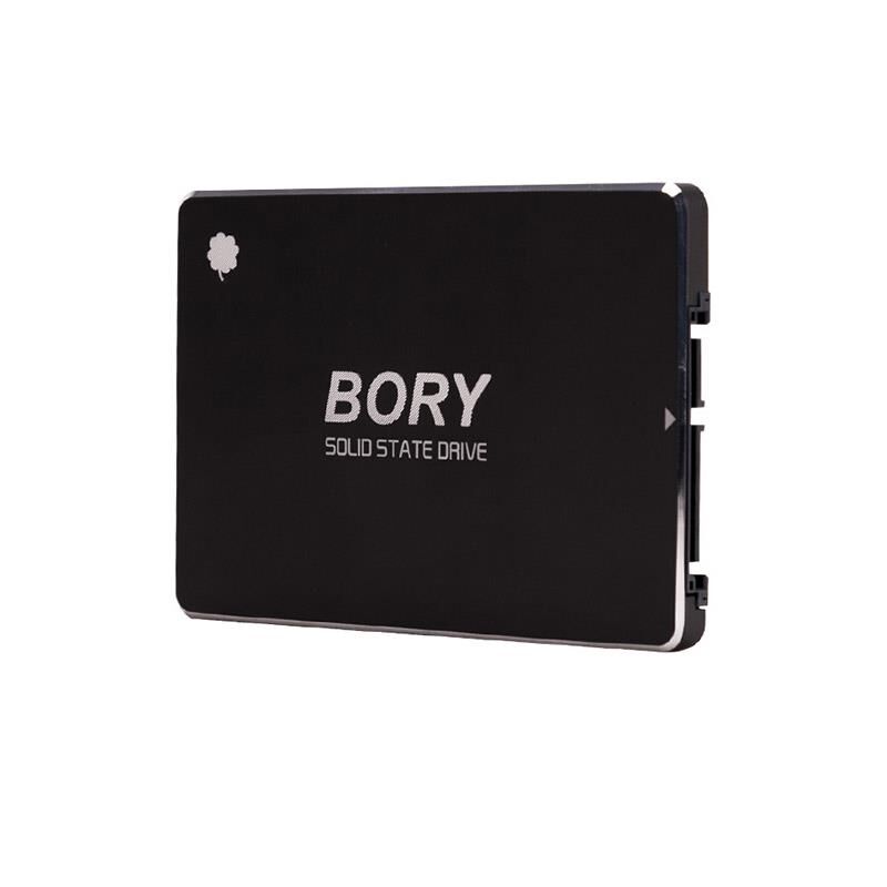 1 Tb Bory Sata3 R500-C1T Ssd 550/510 Mbs (3 Yil Garanti̇li̇)