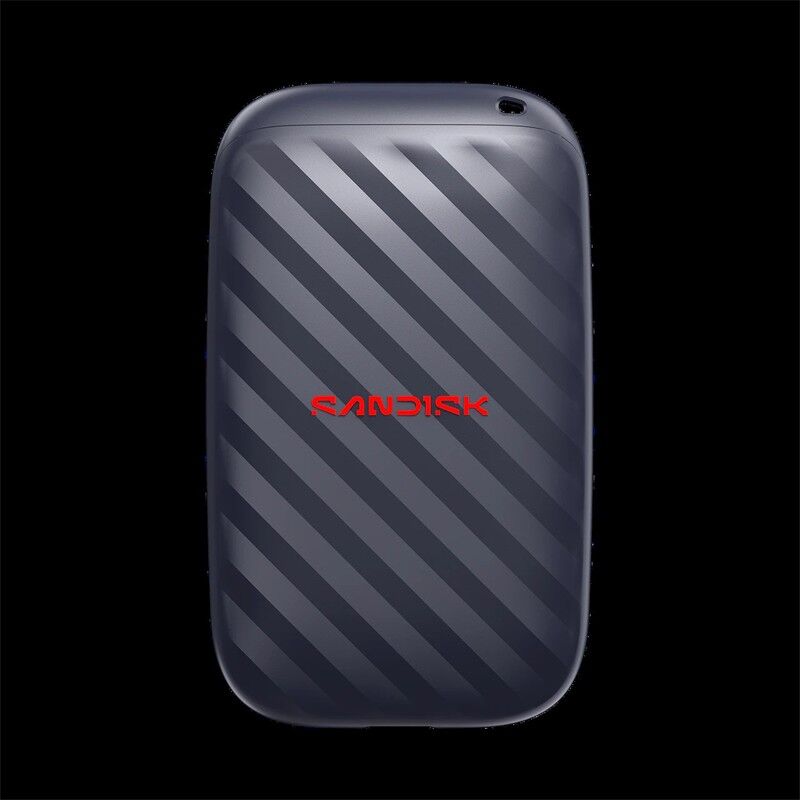 1 Tb Sandisk Sdssde10-1T00-G25 2.5 600Mb/S Tasinabilir Ssd