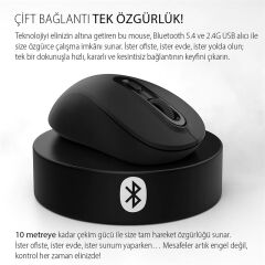 Inca Iwm-288T  Bluetooth + Wireless Ergonomic Design Silent  Mouse