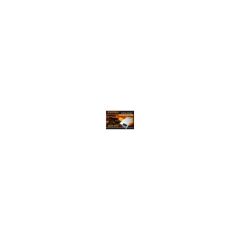 Everest Eps-Fx01 200W 4Cm Fan 2*Sata 2*Ide Flex Power Supply